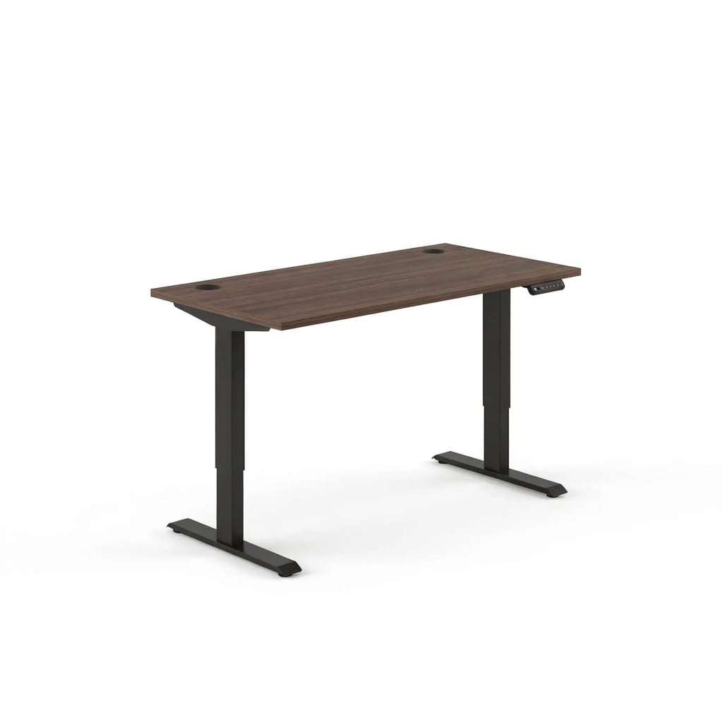 Sit-Stand Desk Pro - Workspace Dreams Sit-Stand Desk Pro