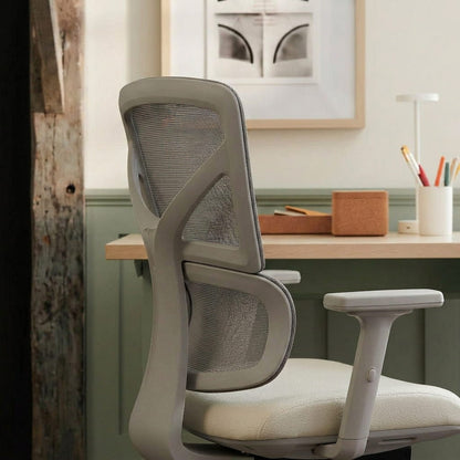 The Aura Ergonomic Chair - Workspace Dreams The Aura Ergonomic Chair
