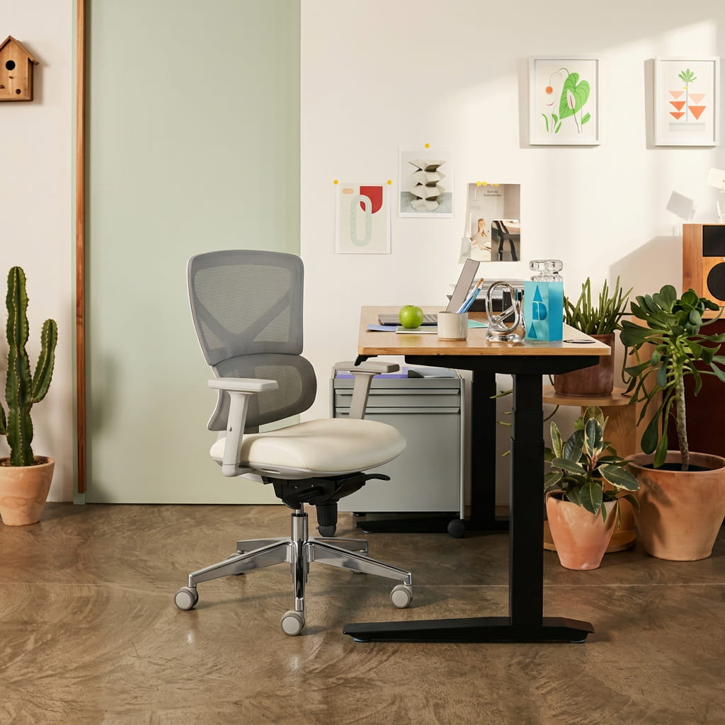 The Aura Ergonomic Chair - Workspace Dreams The Aura Ergonomic Chair