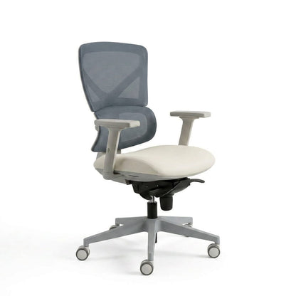 The Aura Ergonomic Chair - Workspace DreamsThe Aura Ergonomic Chair