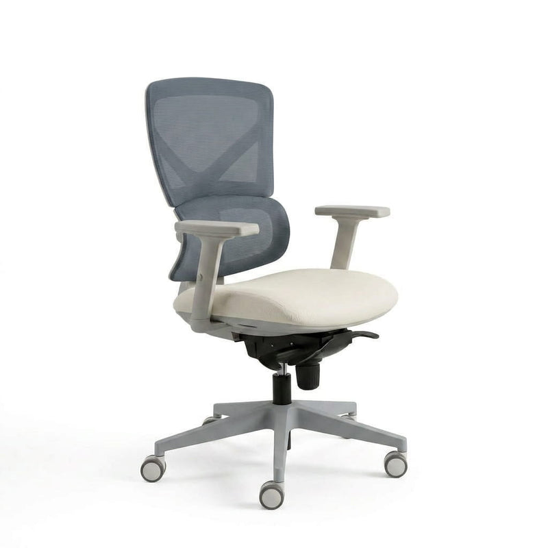 The Aura Ergonomic Chair