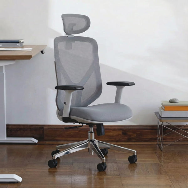 The Essential Ergonomic Office Chair - Workspace Dreams The Essential Ergonomic Office Chair