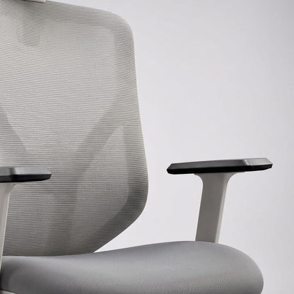 The Essential Ergonomic Office Chair - Workspace Dreams The Essential Ergonomic Office Chair