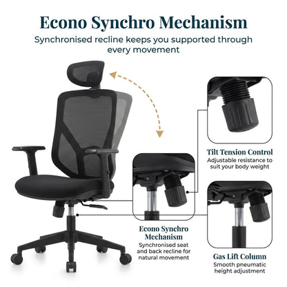 The Essential Ergonomic Office Chair - Workspace Dreams The Essential Ergonomic Office Chair