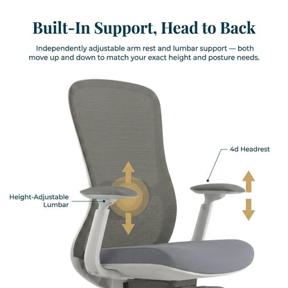 The Pro Flow Ergonomic Chair - Workspace Dreams The Pro Flow Ergonomic Chair
