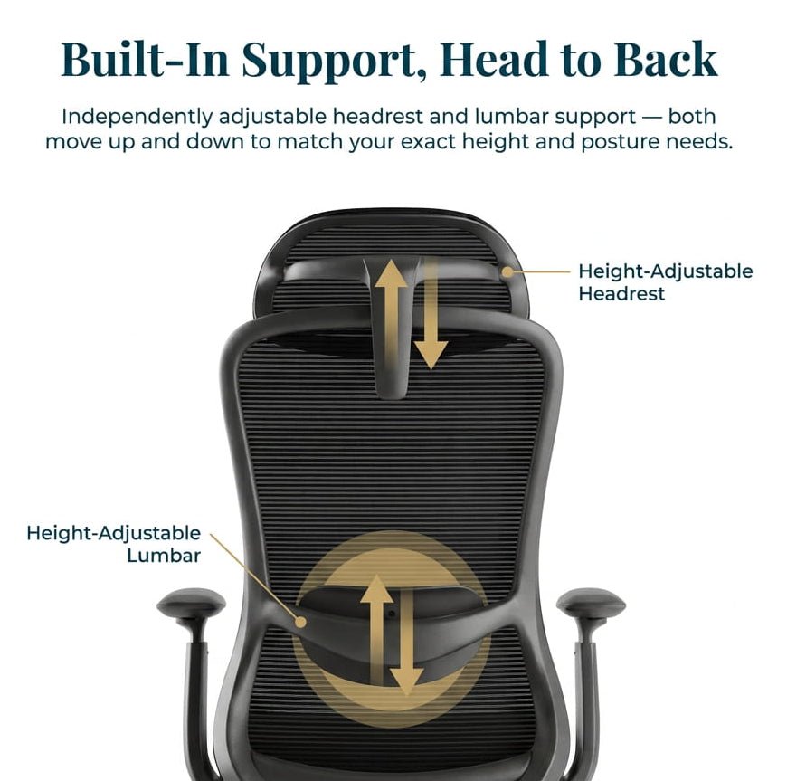 The Pro Flow Ergonomic Chair - Workspace Dreams The Pro Flow Ergonomic Chair