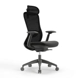 The Pro Flow Ergonomic Chair - Workspace Dreams The Pro Flow Ergonomic Chair