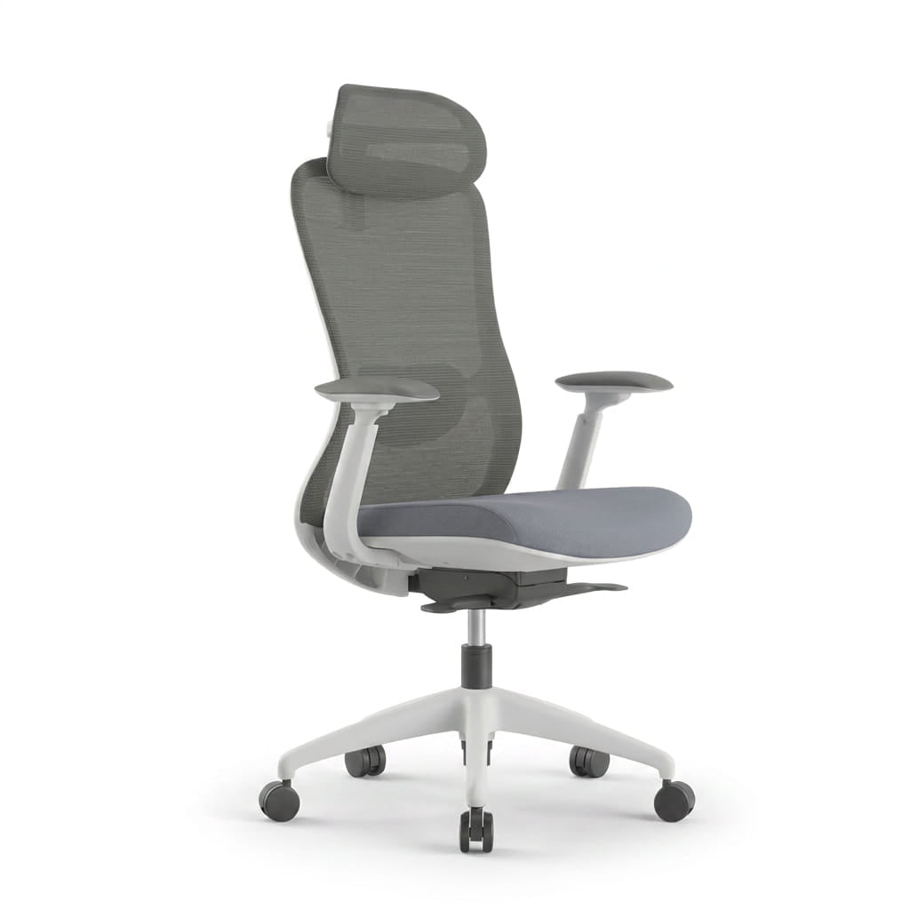 The Pro Flow Ergonomic Chair - Workspace Dreams The Pro Flow Ergonomic Chair