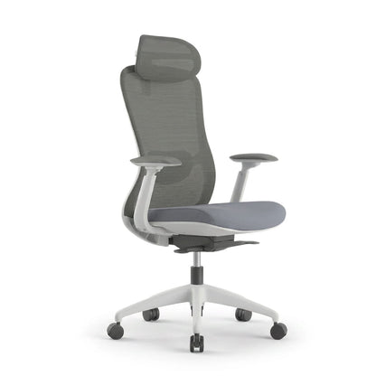 The Pro Flow Ergonomic Chair - Workspace Dreams The Pro Flow Ergonomic Chair